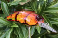 Image 2 of SPEEDBAITS Custom Airbrushed Duo Realis M65 8A KO 5462