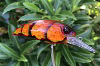 Image 3 of SPEEDBAITS Custom Airbrushed Duo Realis M65 8A KO 5462