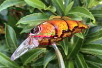 Image 4 of SPEEDBAITS Custom Airbrushed Duo Realis M65 8A KO 5462