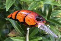 Image 6 of SPEEDBAITS Custom Airbrushed Duo Realis M65 8A KO 5462