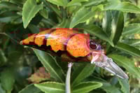 Image 7 of SPEEDBAITS Custom Airbrushed Duo Realis M65 8A KO 5462
