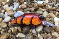 Image 17 of SPEEDBAITS Custom Airbrushed Duo Realis M65 8A KO 5462