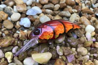 Image 18 of SPEEDBAITS Custom Airbrushed Duo Realis M65 8A KO 5462