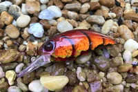 Image 19 of SPEEDBAITS Custom Airbrushed Duo Realis M65 8A KO 5462