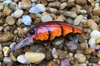 Image 20 of SPEEDBAITS Custom Airbrushed Duo Realis M65 8A KO 5462