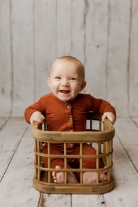 Image 3 of FLASH SALE - Milestone Session