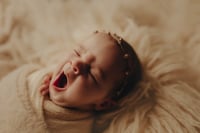 Image 5 of 2026 Belly to Baby Collection RETAINER