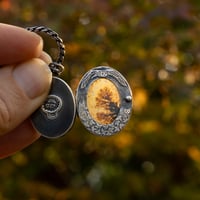 Image 3 of First payment for Françoise