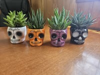 Image 3 of Day of the Dead Ceramics with Live Plants - Dia de los Muertos - Cactus and Succulents!