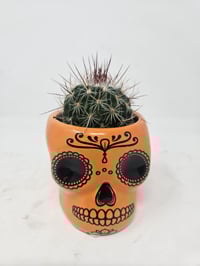 Image 4 of Day of the Dead Ceramics with Live Plants - Dia de los Muertos - Cactus and Succulents!