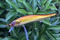 Image 1 of  Custom Airbrushed Jerkbait TA 110 9746