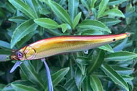 Image 4 of  Custom Airbrushed Jerkbait TA 110 9746