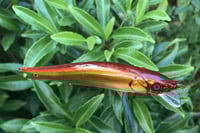 Image 5 of  Custom Airbrushed Jerkbait TA 110 9746