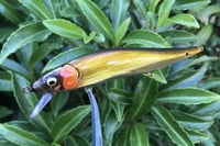 Image 1 of  Custom Airbrushed Jerkbait TA 110 993