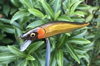 Image 4 of  Custom Airbrushed Jerkbait TA 110 993