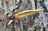 Image 10 of  Custom Airbrushed Jerkbait TA 110 993