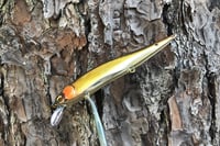 Image 12 of  Custom Airbrushed Jerkbait TA 110 993