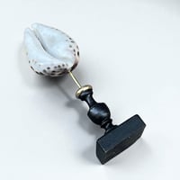 Image 8 of Coquillage Porcelaine Tigre sur socle en bois tourné noirci fin XIXe Cabinet de curiosités 