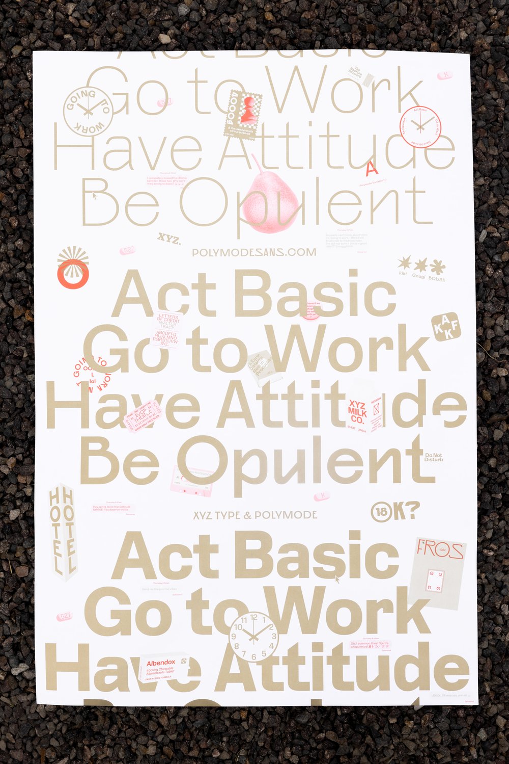 Image of Polymode specimen