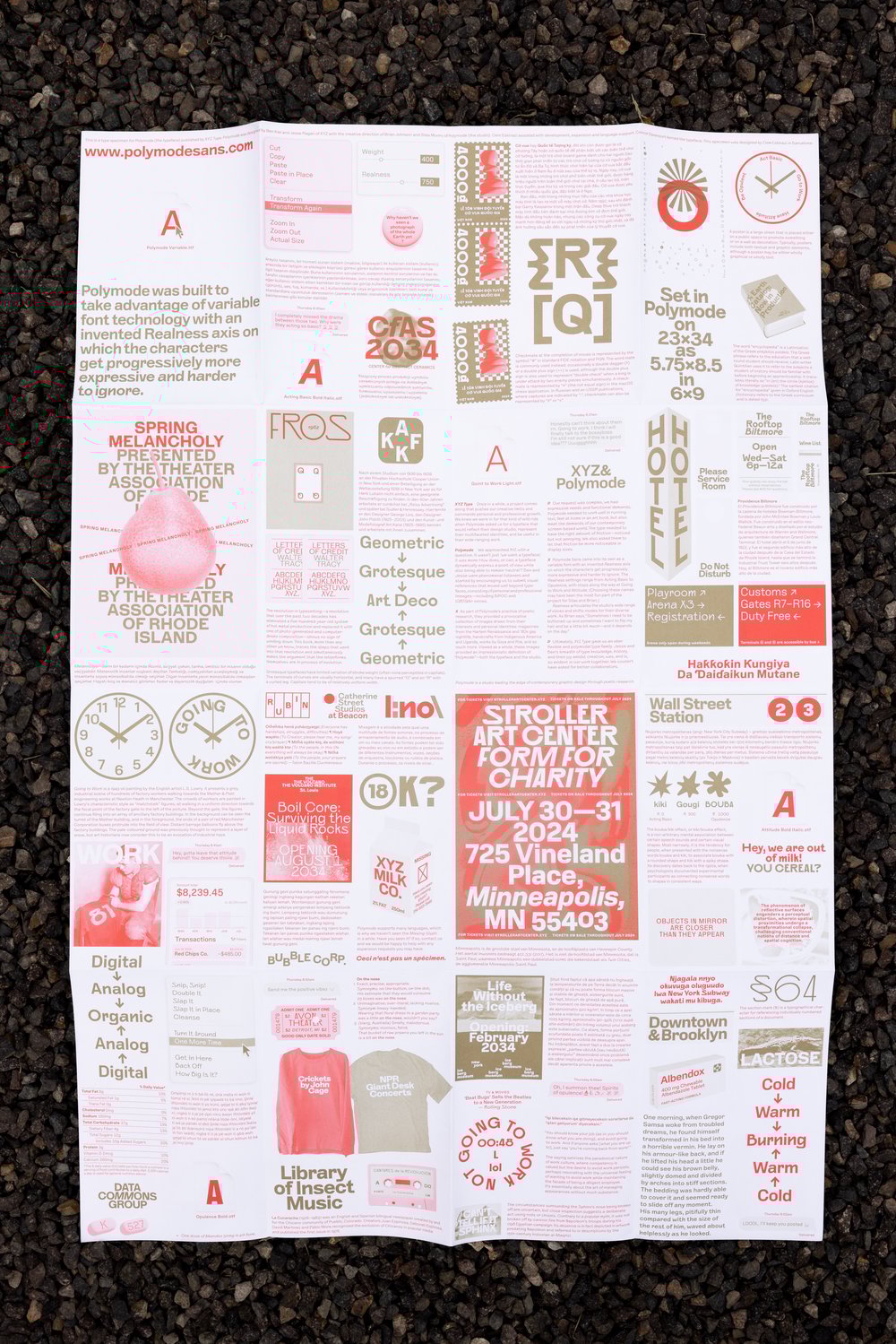 Image of Polymode specimen