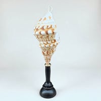 Image 3 of Coquillage Triton sur socle en bois Napoléon III   Charonia Lampas - Cabinet de curiosités 