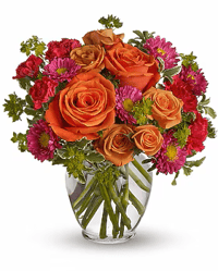 Heirloom on the Bayou