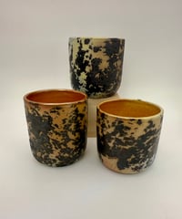 Spotted Tumblers