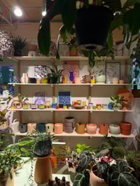 Image 4 of PRE ORDER