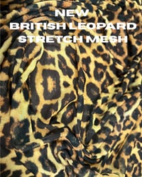 Image 2 of The VENUS high cut thong in sheer leopard mesh