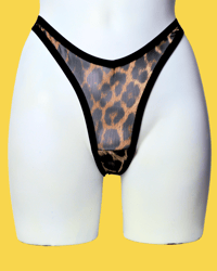 Image 1 of The VENUS high cut thong in sheer leopard mesh
