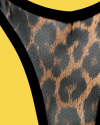 Image 4 of The VENUS high cut thong in sheer leopard mesh