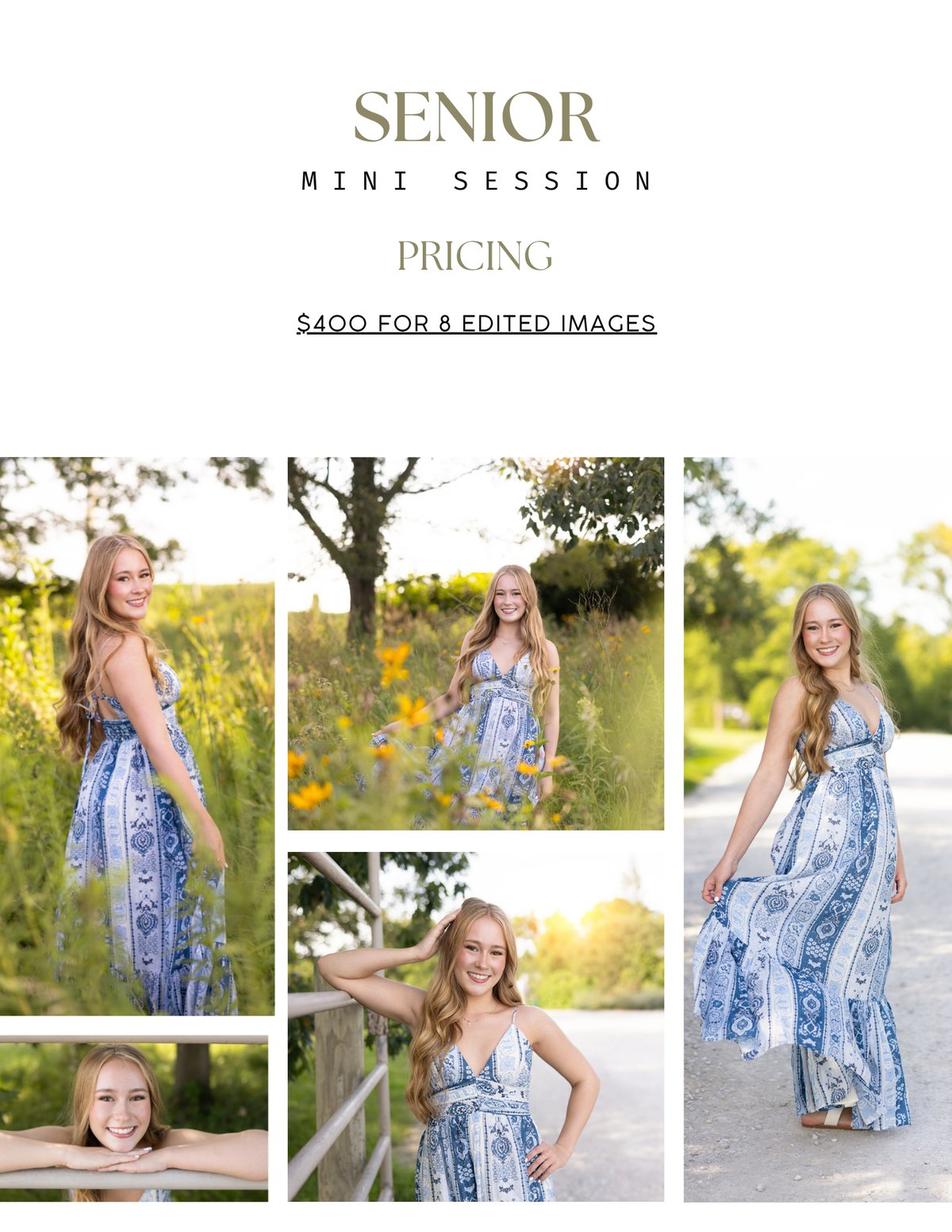 Image of Senior Mini Session