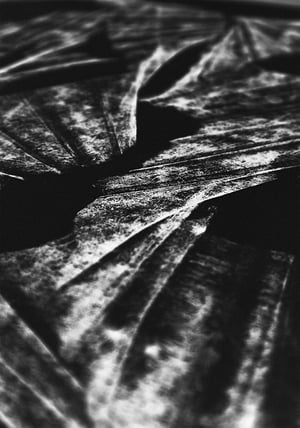 Image of Unfolding Geometry