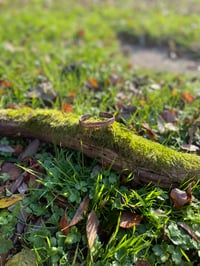 Image 2 of Small Triple rick flare copper bracelet