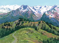 January Cool Sunlight