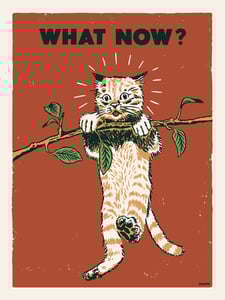 Image of What Now? 2025