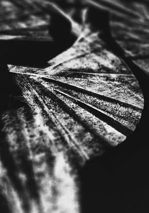 Image of Unfolding Geometry