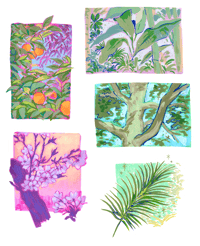 Image 4 of [pre-order] THE LIGHTMETER IS LYING Zine + Stickers [Pre-Order]