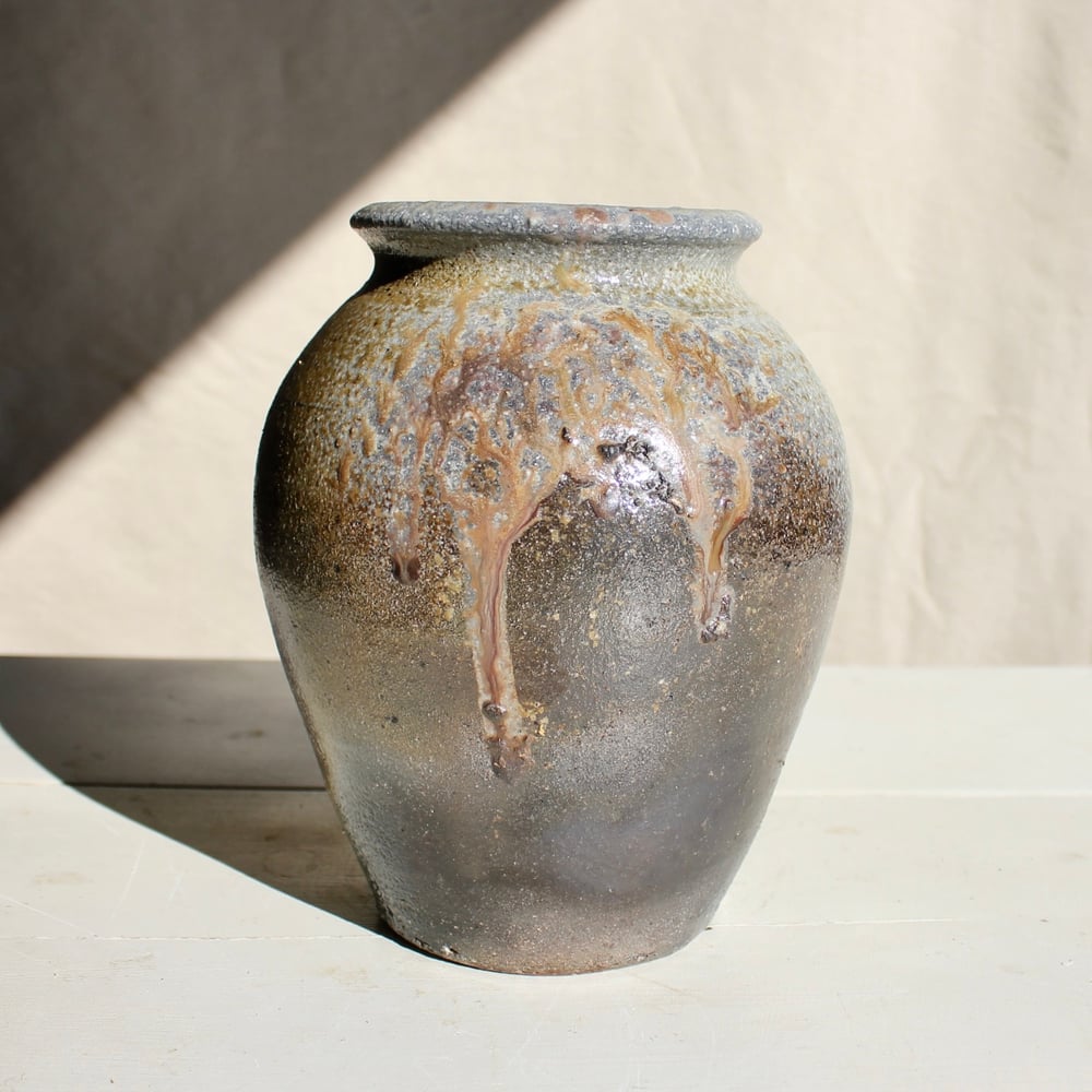 Image of Wild porcelain vase