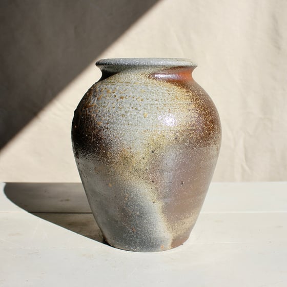 Image of Wild porcelain vase