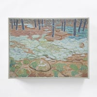 Image 1 of Moss and Pines