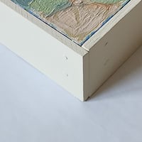 Image 3 of Moss and Pines