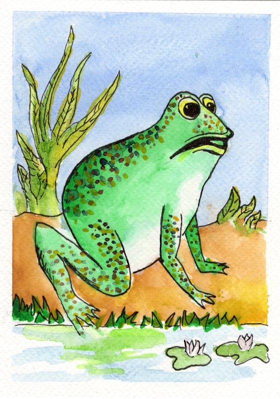 Image of Frog