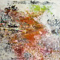 The Bush Outside My window