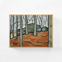 Image 1 of Ashley Falls Outcrop 3