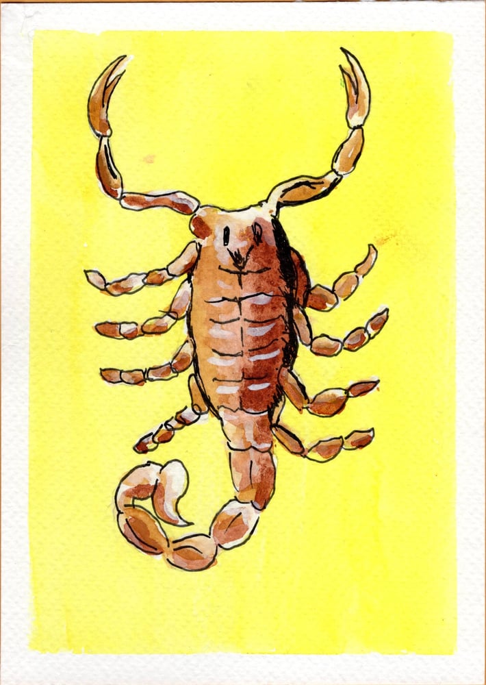 Image of Scorpions Rule
