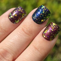 Image 4 of Forest Canopy