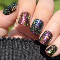 Image 2 of Forest Canopy