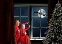 Image 5 of Festive Cubs 2025-