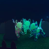 B-GRADE Large Mystery Skelly Cat